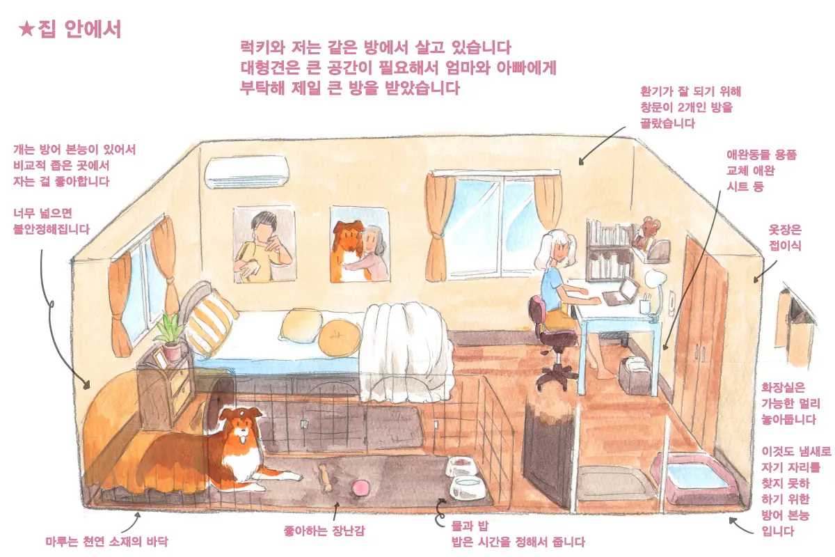 Himitsu No Inukko Club Sweet | 비밀의 강아지 클럽 Sweet